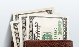 dolar