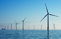 Üretici Kart Almak İstiyorum