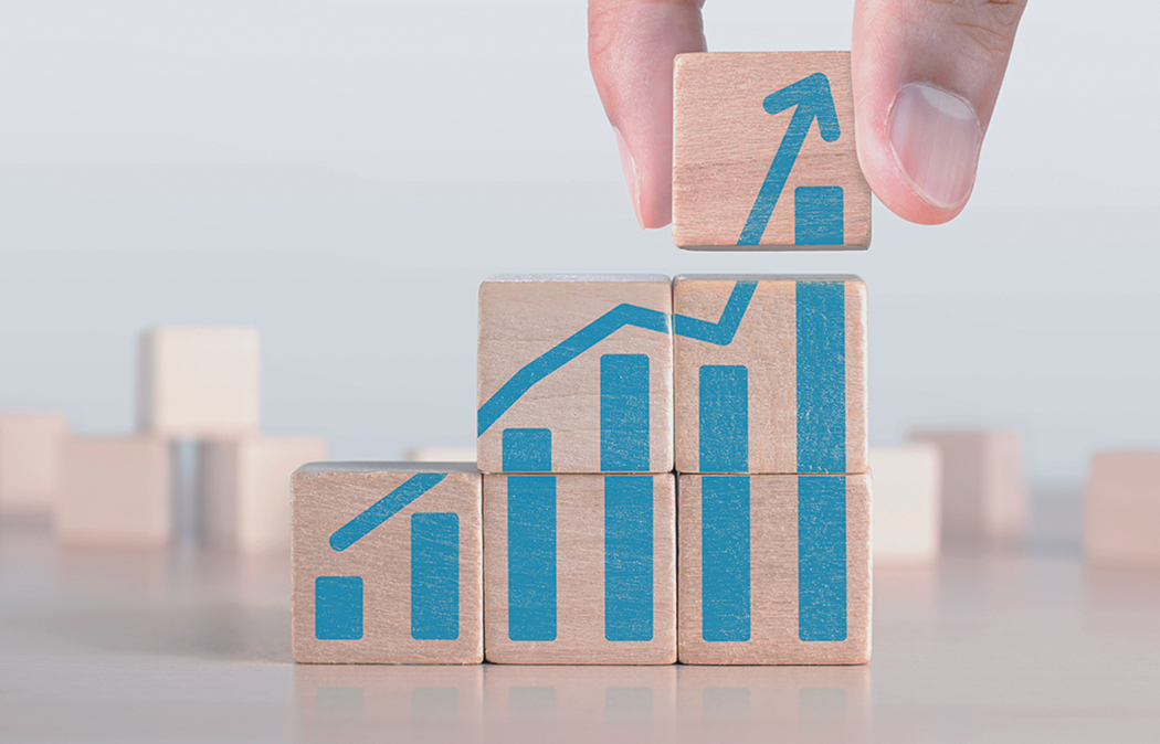 Dividend Distribution Policy