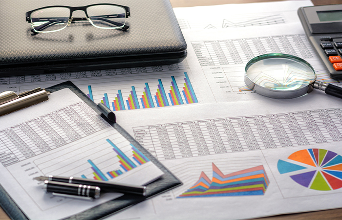 Domestic Issuances