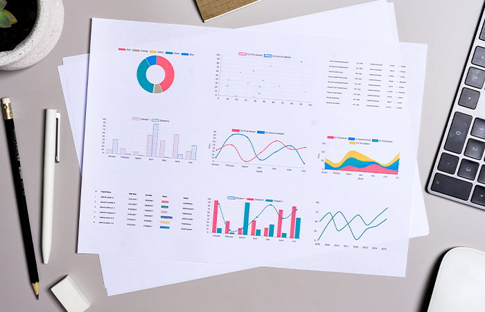  Unconsolidated BRSA Report