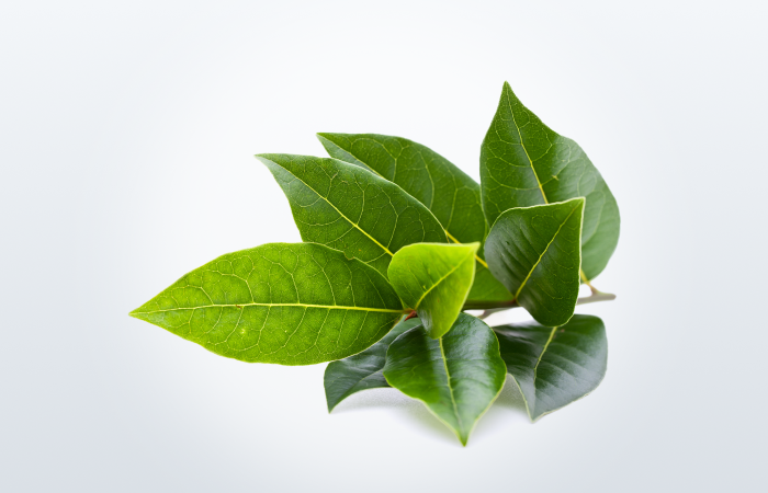  Bitkisel Ürün Sigortası