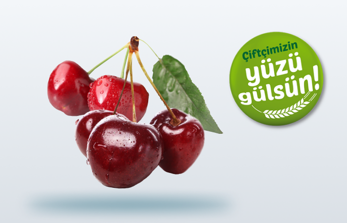  Coğrafi İşaretli Ürün Kredisi