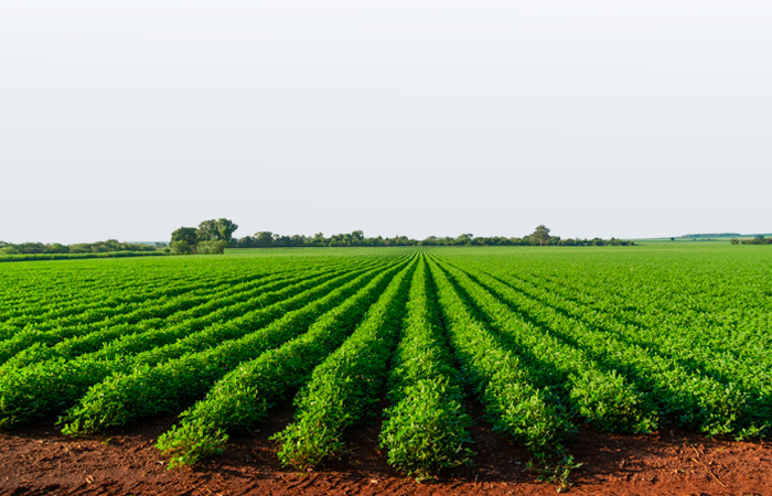  Arazi (Tarım) Alım Kredisi