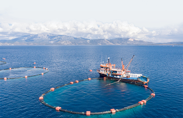  Su Ürünleri Kredisi