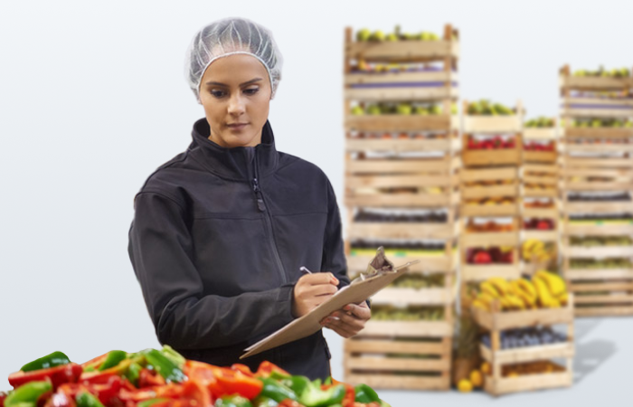  Projeli Yatırım Kredileri