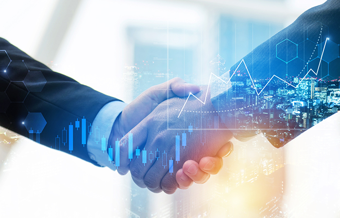  Shareholder Structure