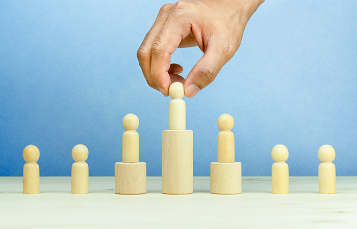  Organizasyon Şeması