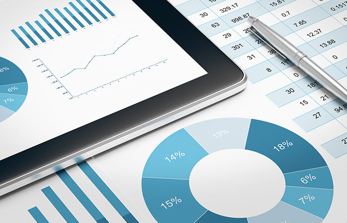  Pay ve Fon Bilgileri