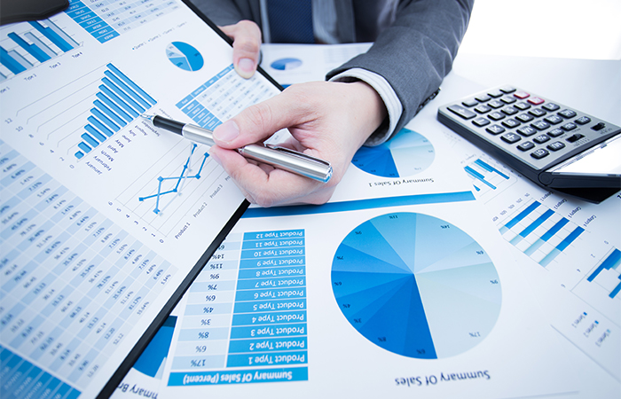  Bağımsız Denetim Raporları